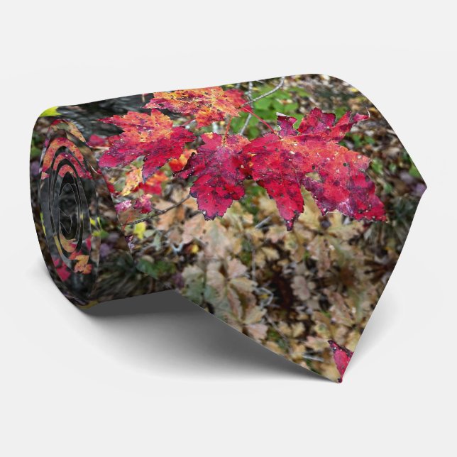 Corbata de cuello/patrón de hojas de otoño (Enrollado)