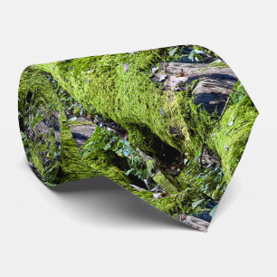 Corbata de cuello / tronco de mossy