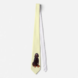 corbata de galón