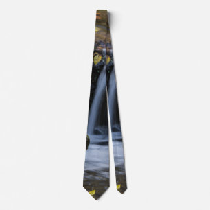 Corbata de hojas y cascadas