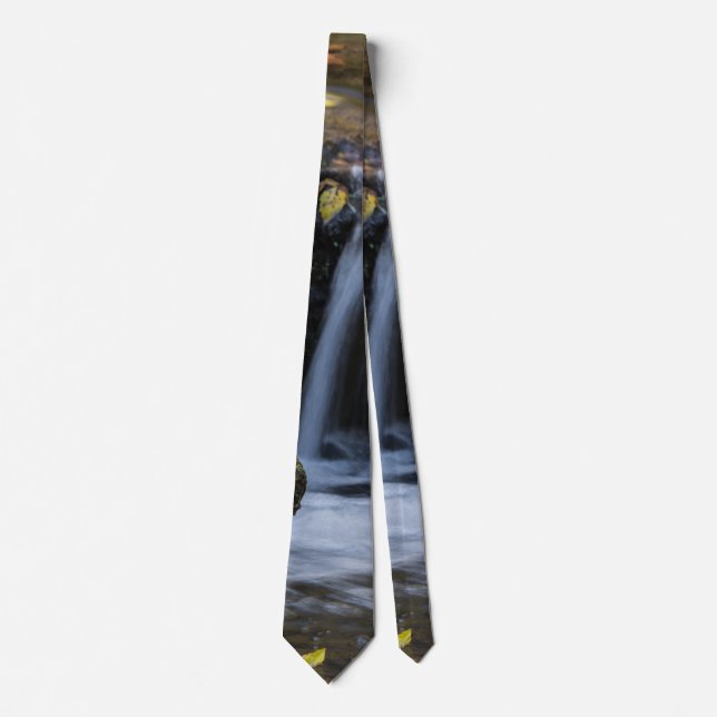 Corbata de hojas y cascadas (Anverso)