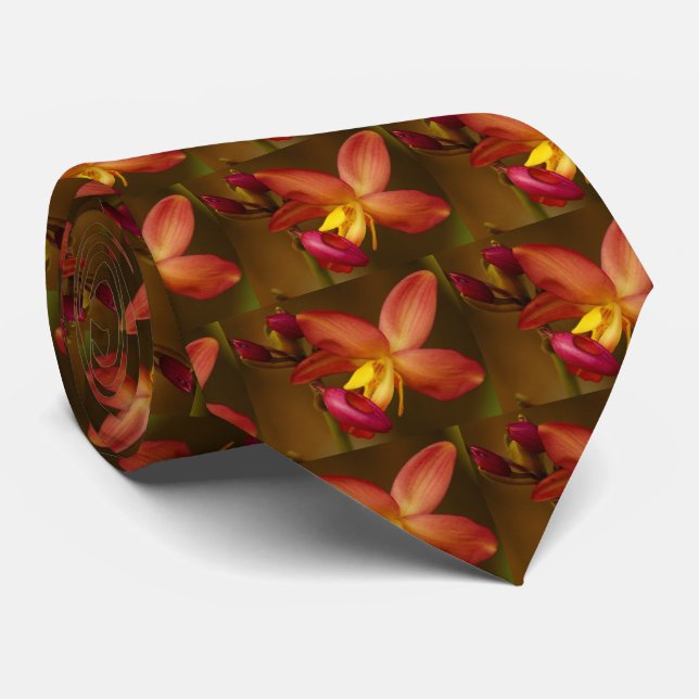 Corbata de hombre de orquídea Cattleya (Enrollado)