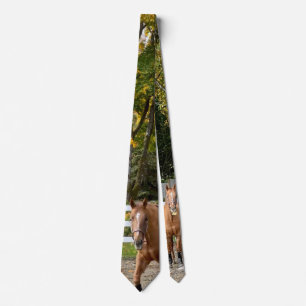 Corbata de hombre de Quarter Horse