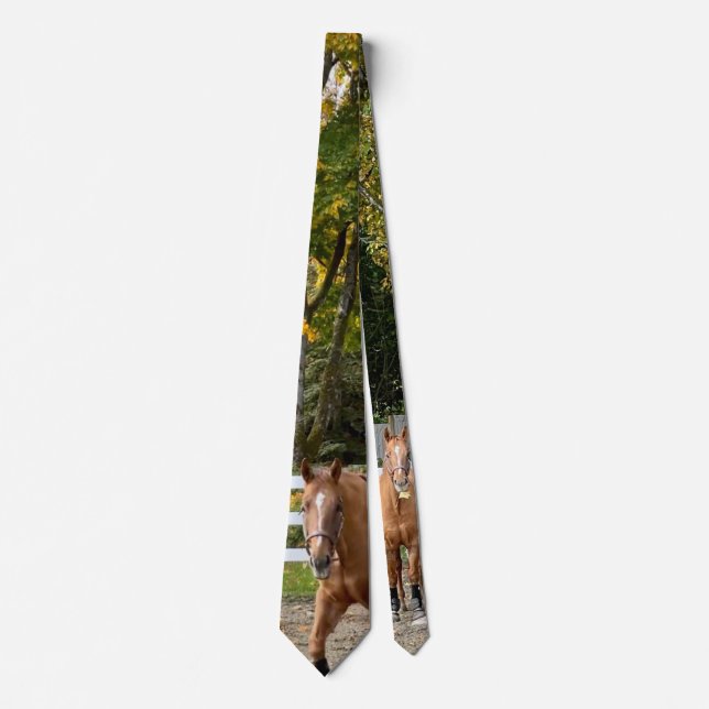 Corbata de hombre de Quarter Horse (Anverso)