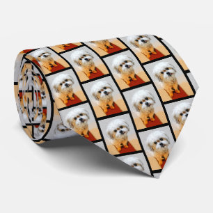 Corbata de mosaico de perro Malshi