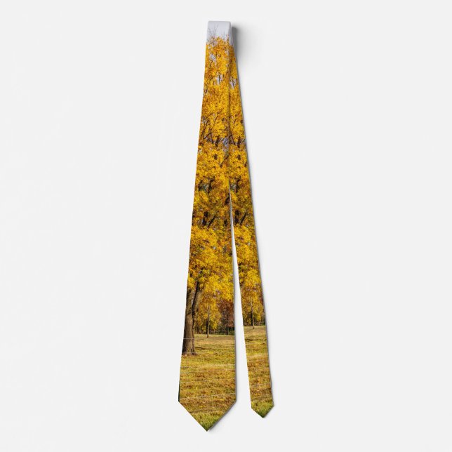 Corbata de Otoño Amarillo de Arce Azucarero (Anverso)