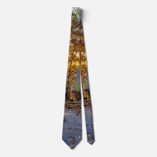 Corbata de paseo al atardecer de bosques de otoño