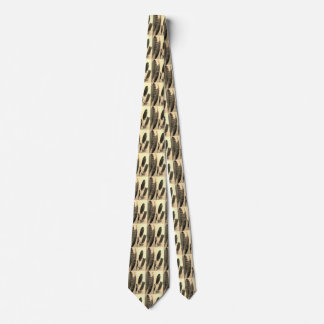 Corbata de pluma
