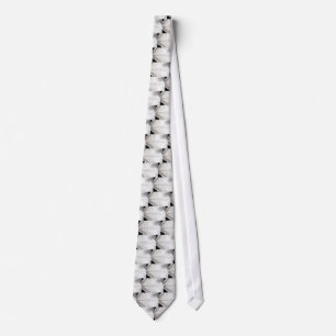 Corbata de Zigzag de Plata