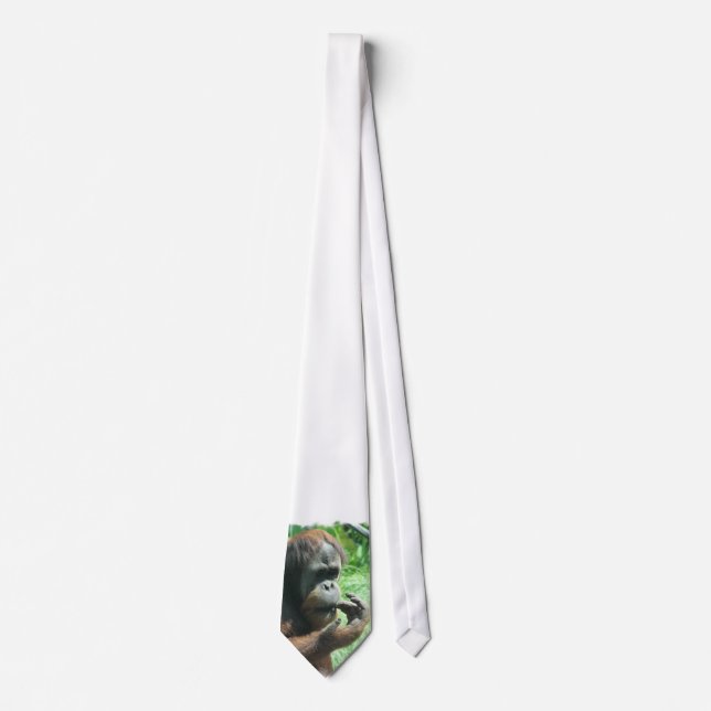 Corbata del mono del orangután (Anverso)
