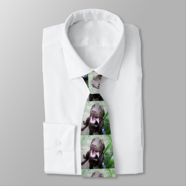 Corbata Delicias Goofy: Cachorros de chocolate marrón, (Atado)