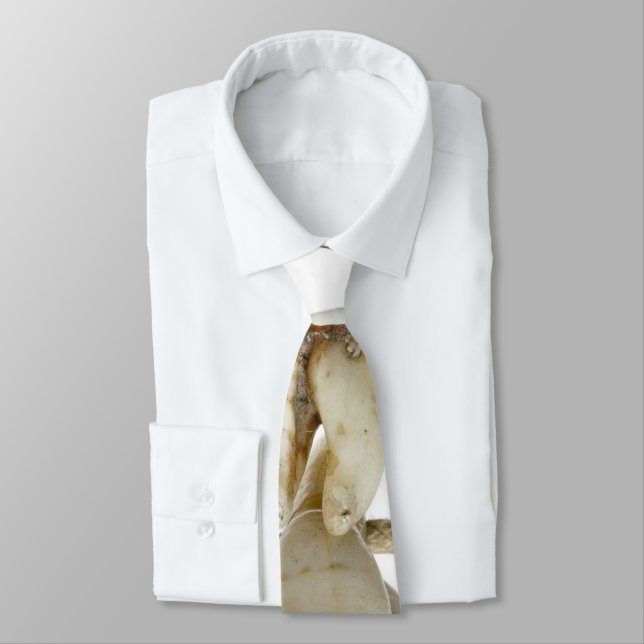 Corbata Dentista extraído fotografía dental divertida de (Atado)