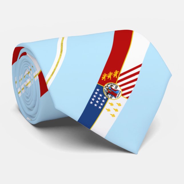 Corbata Detroit (Michigan) city flag Neck Tie (Enrollado)
