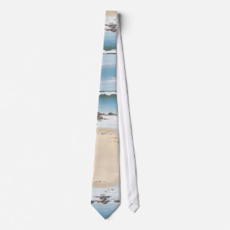 Corbata día en el playa-llano