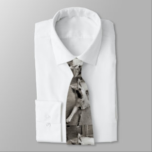 Corbata Días escolares