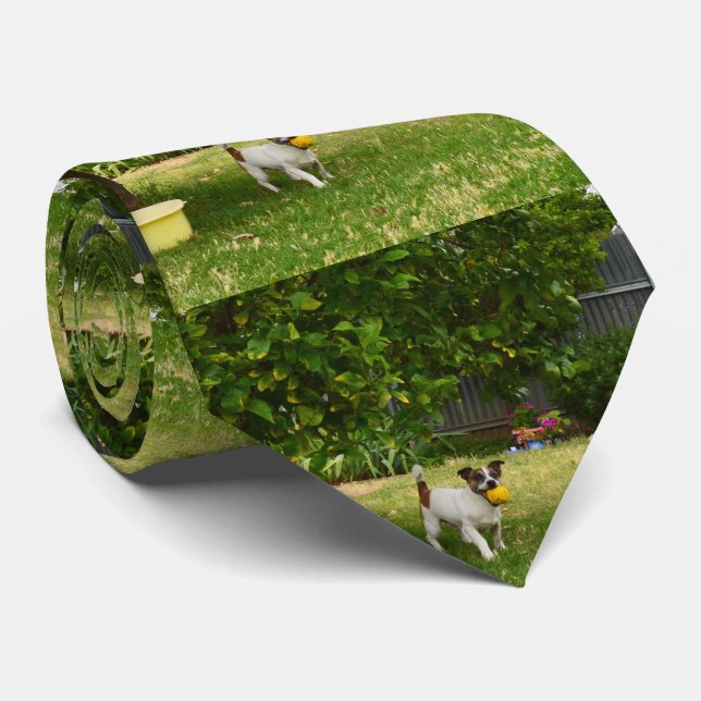 Corbata Días felices de Fox Terrier, (Enrollado)