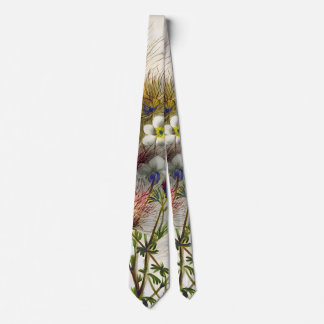Corbata Dibujos de naturaleza apaches, regalos