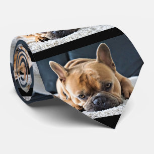 Corbata Divertido Querky cortado Bulldog francés