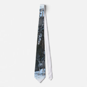 Corbata Dólar alto del estante