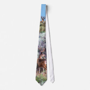 Corbata Dólar del terciopelo