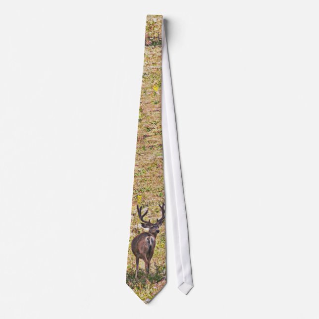 Corbata Dólares de agosto (Anverso)