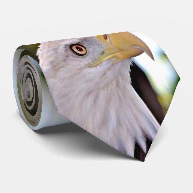 Corbata Eagle calvo (Enrollado)