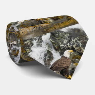 Corbata Eagle calvo orgulloso