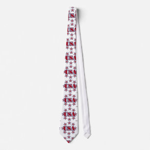 Corbata EE.UU. con estrellas