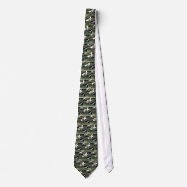 Corbata El cisne blanco (Anverso)