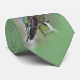 Corbata El colibrí de Anna, un hombre asombroso, en el árb