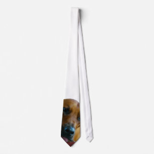 Corbata El lazo del galán