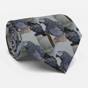Corbata El loro gris africano del Congo se refleja