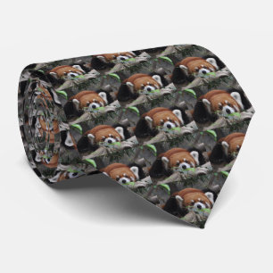 Corbata El Panda Rojo en el zoológico.