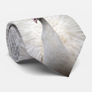 Corbata El panel blanco del pavo real tres