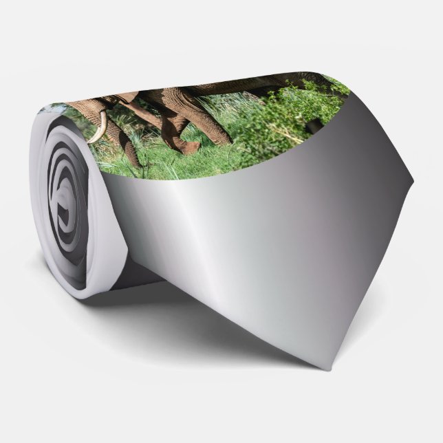 Corbata Elefante africano en el Safari (Enrollado)