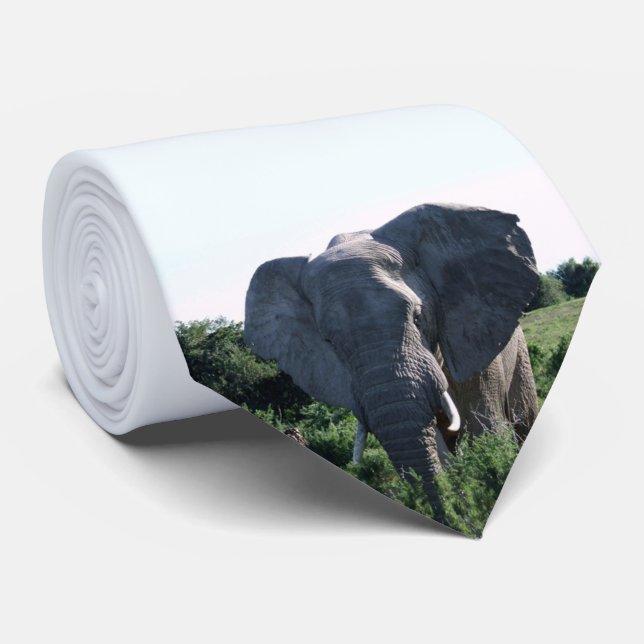 Corbata Elefante elefante Big Oars (Enrollado)