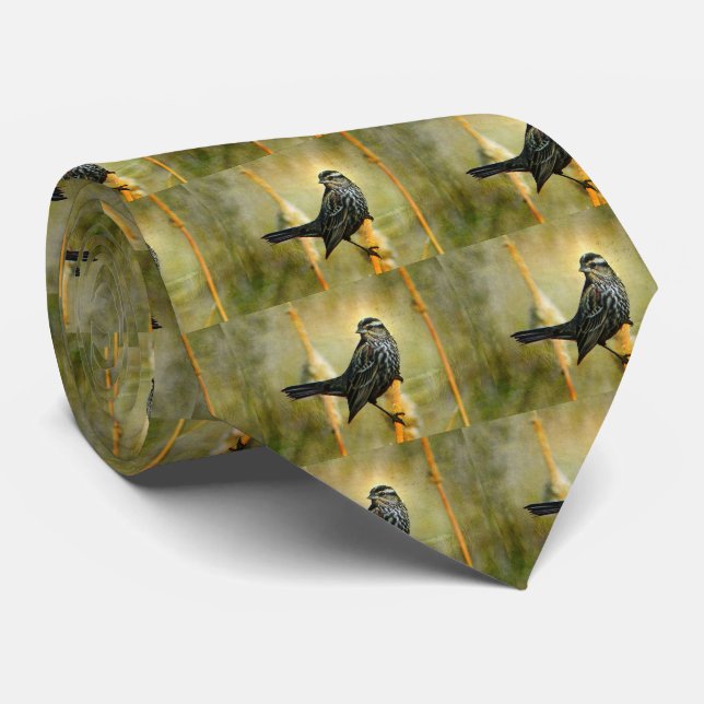 Corbata En el cordón de los hombres de la luz (Enrollado)