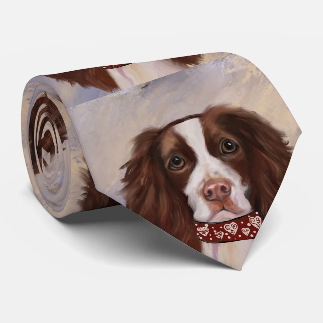 CORBATA ENGLISH SPRINGER SPANIEL (Enrollado)