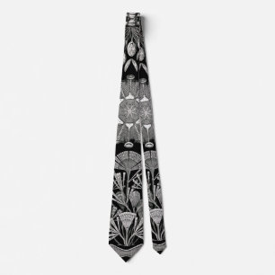 Corbata Ernst Haeckel Diatomea