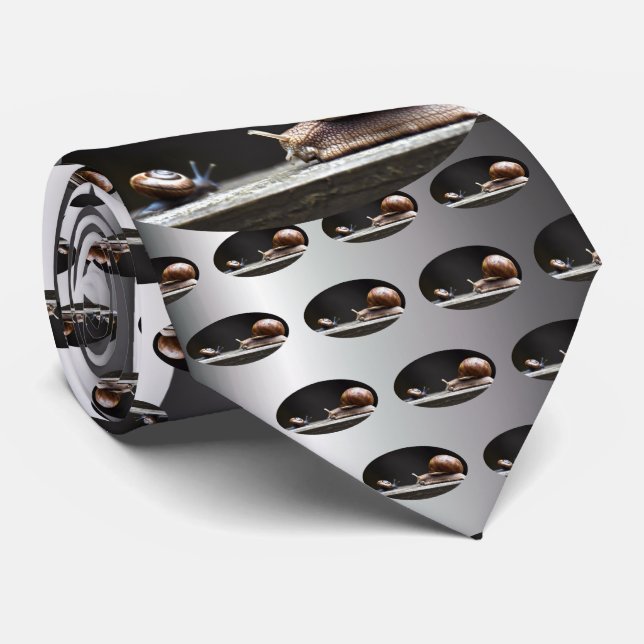 Corbata Escargots - Mollusk de caracol (Enrollado)