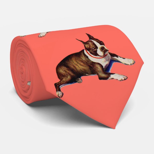 Corbata Estampa de Boston terrier (Enrollado)