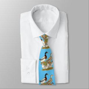 Corbata Familia de patos de Sajonia