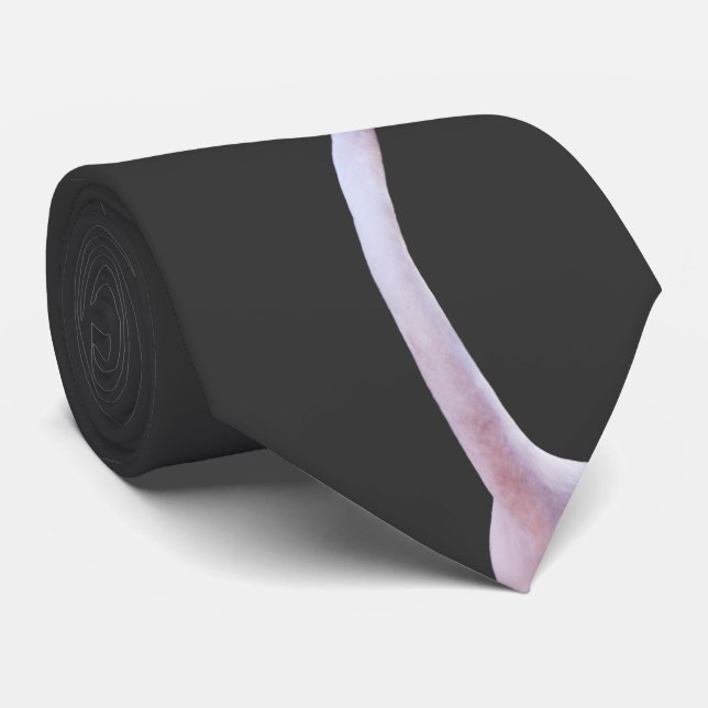 Corbata Feisty Flamingo Tie (Gris oscuro) (Enrollado)