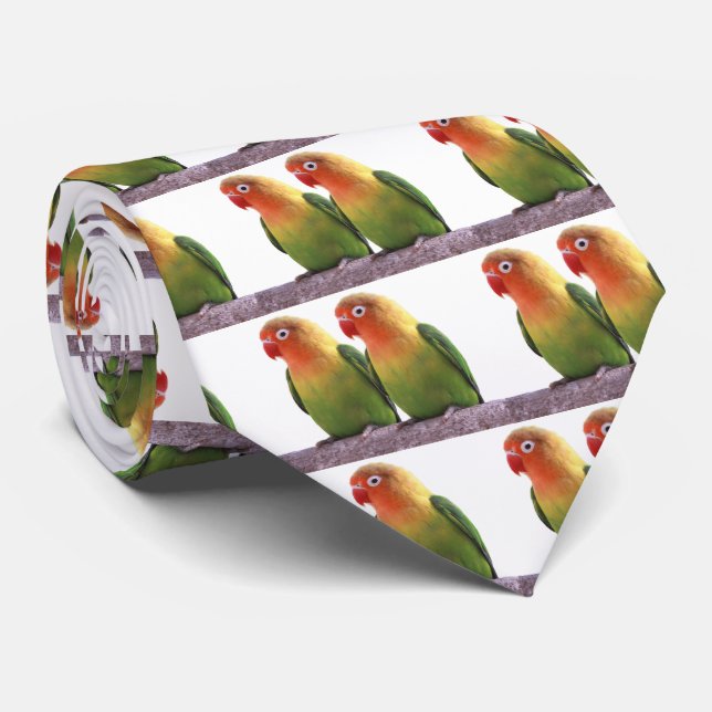 Corbata Fischer's Lovebird (Enrollado)