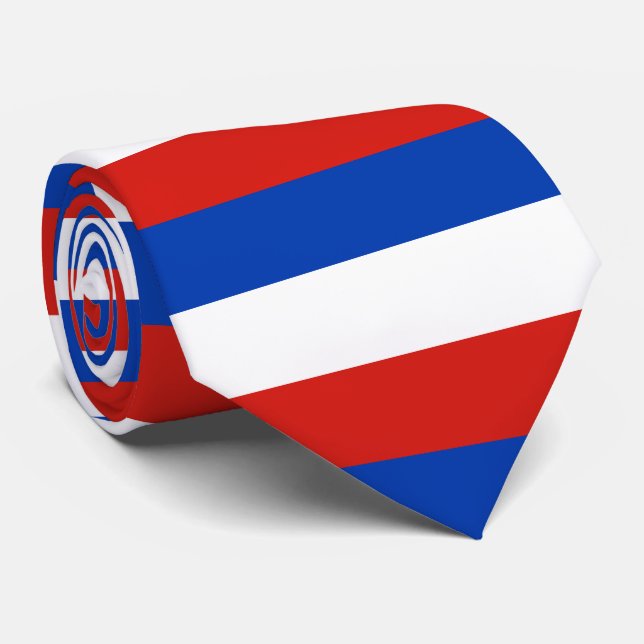 Corbata Flag Schleswig-Holstein Tie (Enrollado)