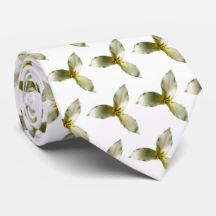 Corbata Flor de Trillium Blanca Flor Silvestre de Primaver