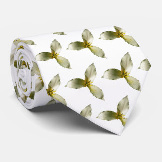 Corbata Flor de Trillium Blanca Flor Silvestre de Primaver