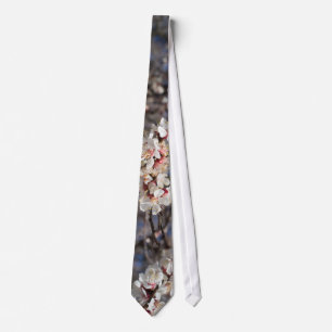 Corbata Florecimiento del cerezo