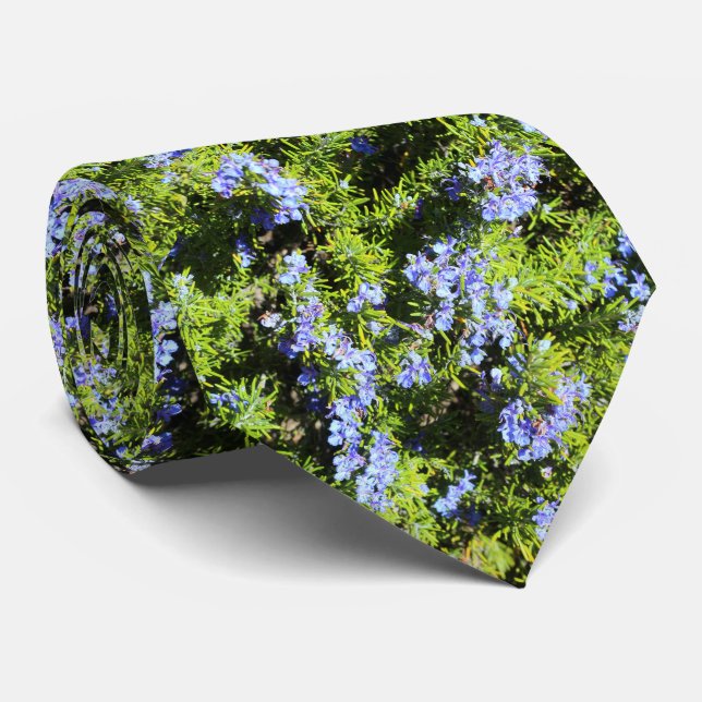 Corbata flores de romero azules sobre agujas verdes (Enrollado)