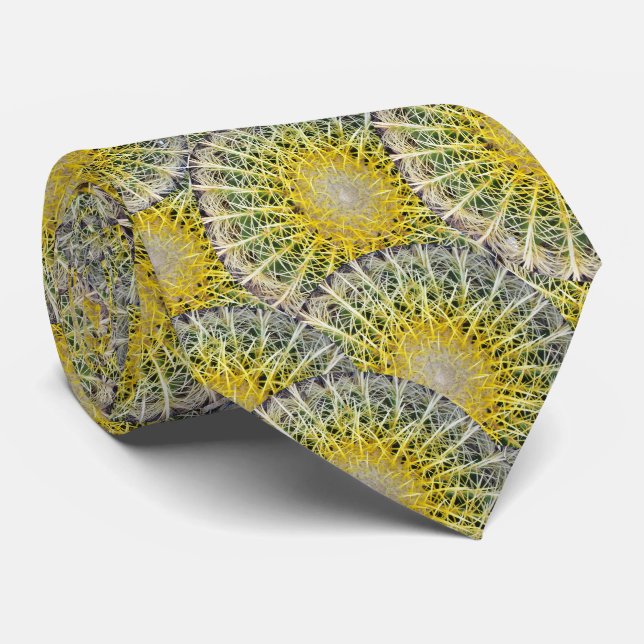 Corbata Foto botánica de la planta del cactus del globo (Enrollado)